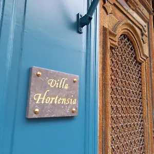 Hortensia Bagnères-de-Bigorre